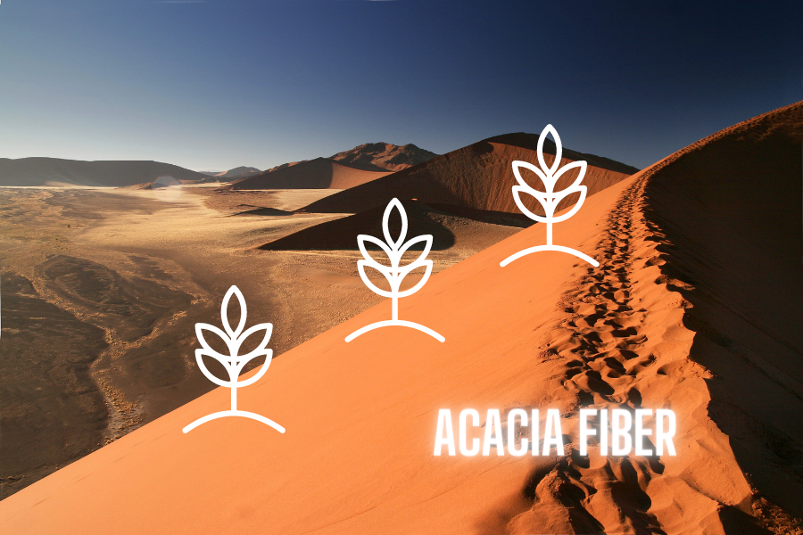 Acacia fiber benefits for gut health and immunity