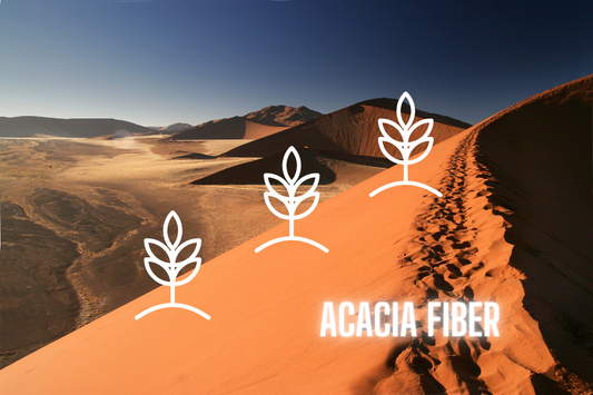 Acacia fiber benefits for gut health and immunity