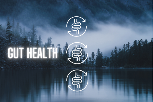 Gut health article for improving Immunity