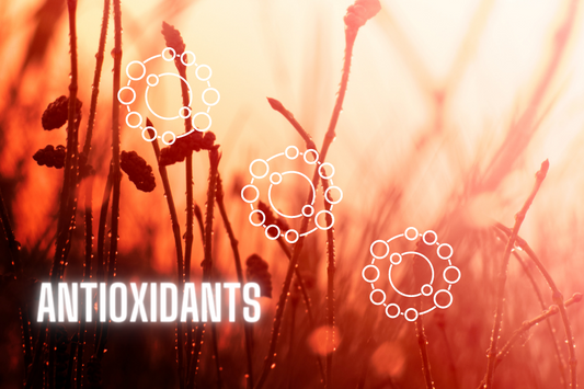 An article on the benefits of antioxidants for gut health