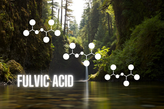 Fulvic acid and how it can benefit your body and gut health