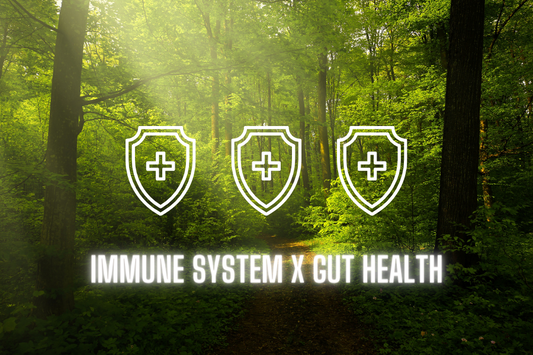 Gut health article for improving Immunity